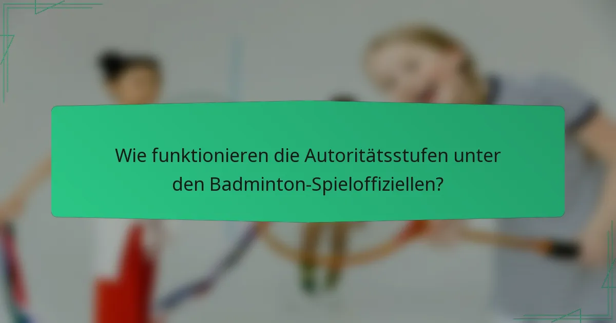 Wie funktionieren die Autoritätsstufen unter den Badminton-Spieloffiziellen?